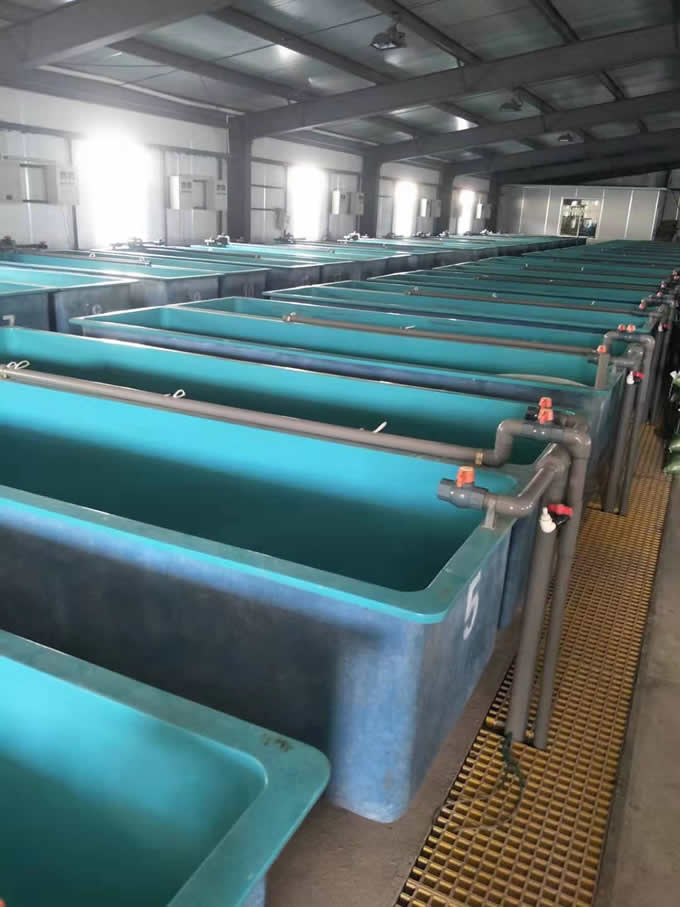 ������ˮ��